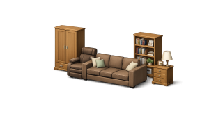 Furniture Removal Image