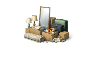 Household Junk Collection